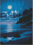 (image for) Midnight Romance